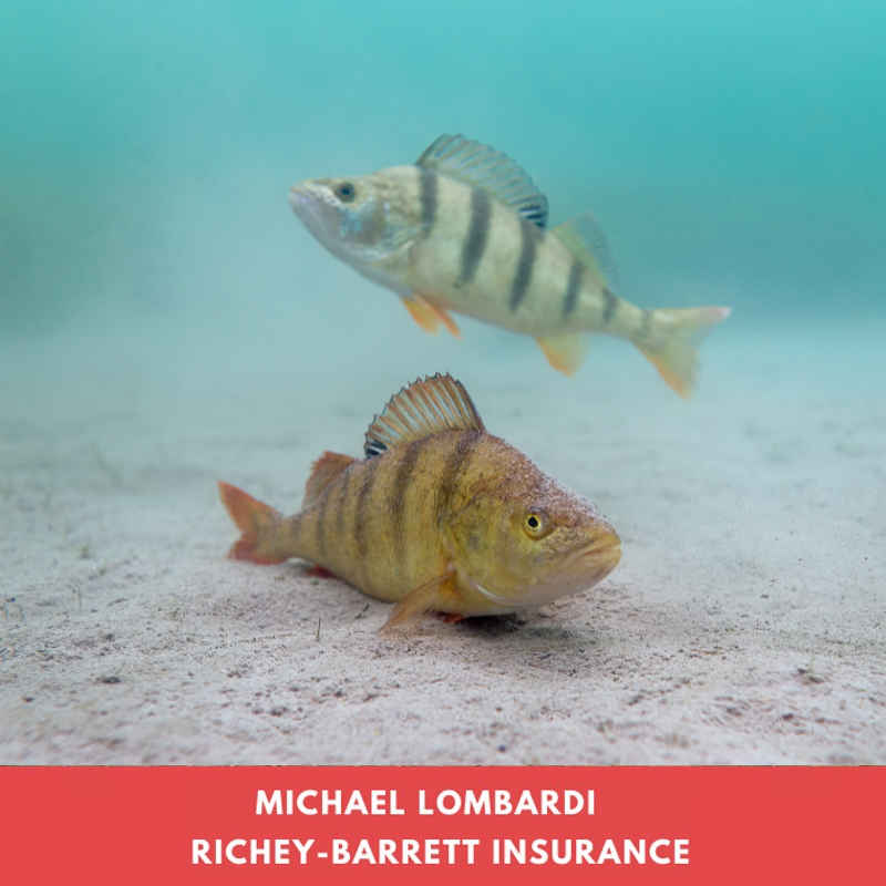 Vertical Farm 102.3 2 (1)