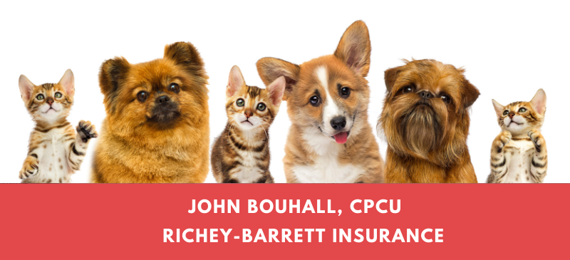 Your Pet, Your Choice