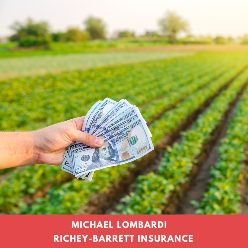 holding cash in farm field