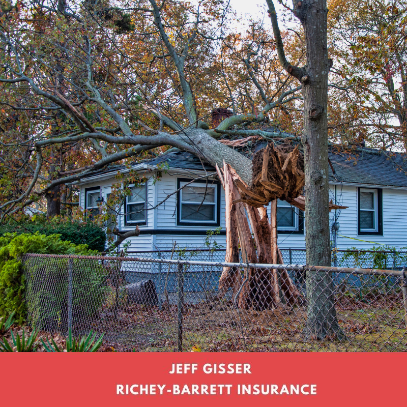 Tree fallen on house roof